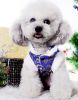 Fashion Pet Dog Clothes Chinese Style Tang Suit Winter Dress Blue