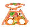 Portable Soft Pet Carrier Shoulder Bag For Teddy, Orange Fruits, XL, Bust 40CM