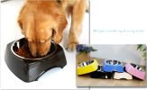 Pet Bowl Dogs/Cats Bowl with Stainless Steel Eating Surface Yellow, Large