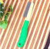 Supplies & Grooming Durable Stainless Steel Pins Comb for Pet Dog Cat(Green)