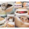Four Seasons Shell Nest Windproof Removable Pet Cat Bed House, 45CM