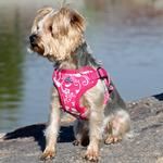 Wrap and Snap Choke Free Dog Harness (Color: Pink Hibiscus, Size: small)